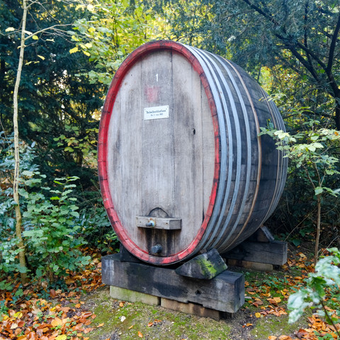 1. Rebellenblutfass 2023 Herbst Alfter