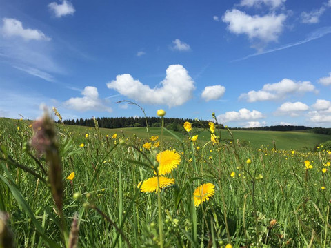 Wanderlandschaft-Berghotel_Talblick-Holzhau