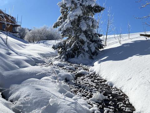 bächlein-winter-holzhau-talblick.-1