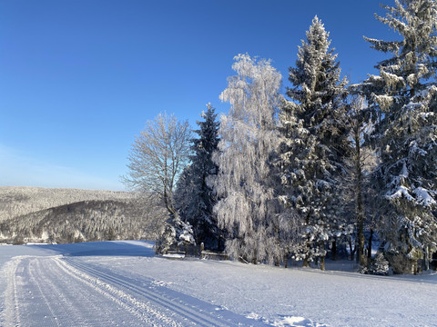 Winter-21-Loipe-Holzhau-Talblick