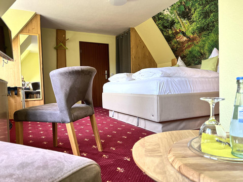 Zi. 20-BerghotelTalblick