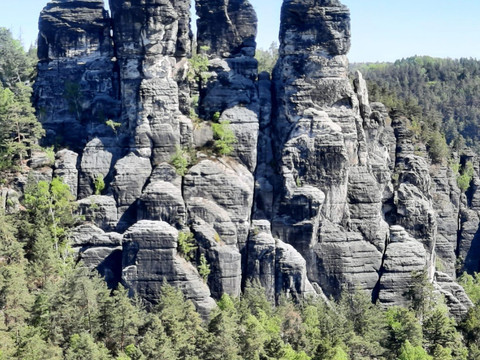 Sächsische Schweiz - Gansfelsen