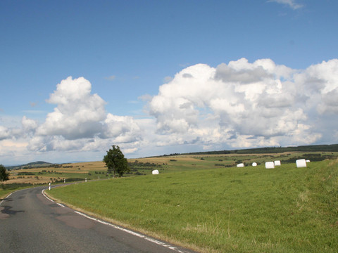 Erzgebirge - Fürstenauer Wiesen