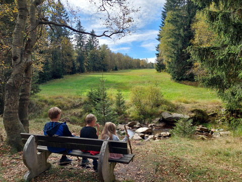 Wanderregion Erzgebirge