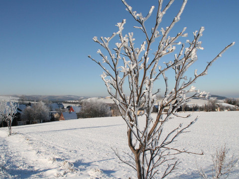 Winterliches Erzgebirge - Rauhreif in Fürstenau