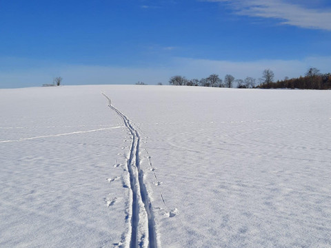 Skiwanderung um Geising