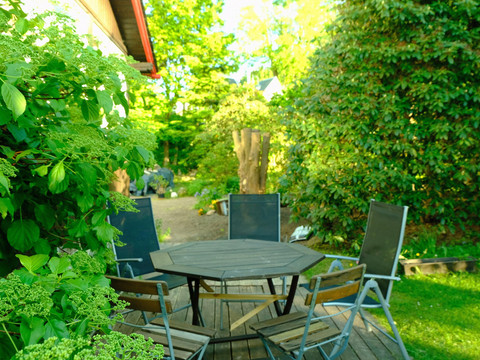 Sommerfrische im Garten