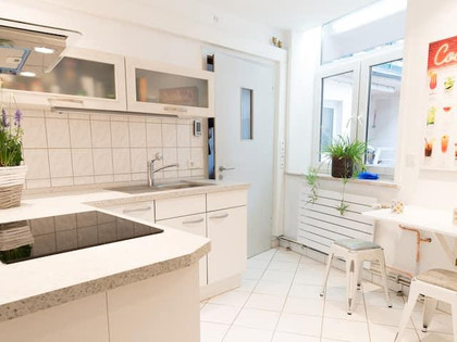 Küche Apartment Harzstraße.2