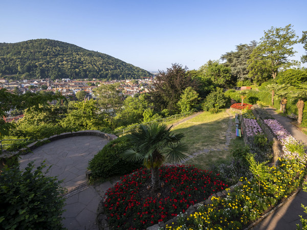 Philosophenweg mit Traumblick