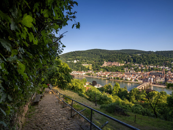 Blick vom Schlangenweg auf Altstadt und Schloss