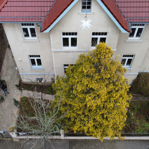 Top view Gallery Art Experience Draufsicht Galerie Art ErlebnisTop view Gallery Art Experience