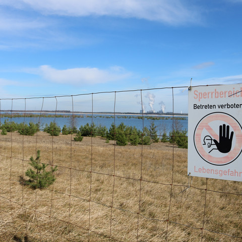 Cottbuser Ostsee-Zaun.jpg