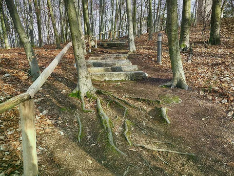 König Albert Turm in Weinböhla