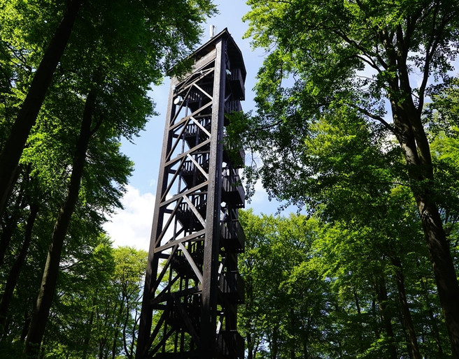 Aussichtsturm auf dem Pferdskopf