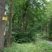 "Gehen hält fit" auf dem Ochsenweg
