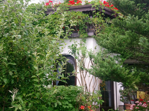 Gebäudeansicht/Sommer