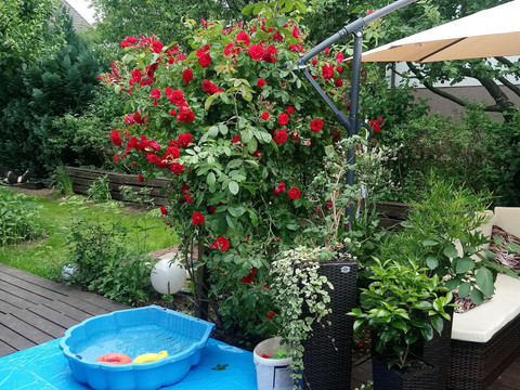 Spielbereich/Sandmuschel