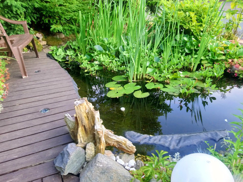 kl. Gartenteich