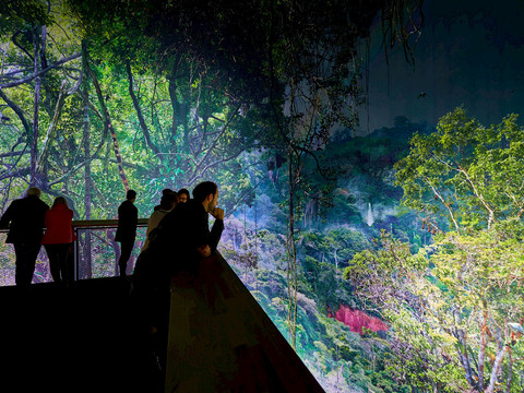 20171117_amazonien_hannover_eoe_pk_cw_0417.2000x0.jpg Besucher betrachten eine beeindruckende Regenwald-Projektion in einem dunklen Ausstellungsraum.Visitors view an impressive rainforest projection in a dark exhibition room.Návštěvníci si v tmavé výstavní místnosti prohlédnou působivou projekci deštného pralesa.Odwiedzający oglądają imponującą projekcję lasu deszczowego w ciemnej sali wystawowej.Bezoekers bekijken een indrukwekkende regenwoudprojectie in een donkere tentoonstellingsruimte.I visitatori assistono alla proiezione di un'impressionante foresta pluviale in una sala espositiva buia.