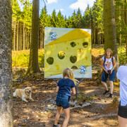 Zapfenwurf an der Käsewand am Milch-Erlebnispfad Usseln