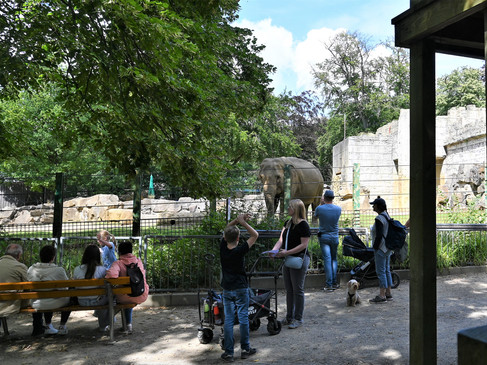 Olifantenverblijf in de dierentuin Elefanten-Gehege im Zoo OsnabrückElephant enclosure at the zooOlifantenverblijf in de dierentuin