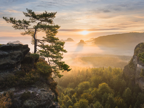 Kleiner Winterberg Sonnenaufgang Ein einsamer Baum steht auf einem Felsen mit Blick auf einen nebelverhangenen Wald bei Sonnenaufgang, der Himmel ist in sanften Orange- und Blautönen gefärbt.