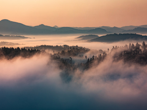 Sonnenaufgang auf der Kaiserkrone Nebelige Waldlandschaft bei Sonnenaufgang, mit sanften Hügeln im Hintergrund und einem warmen, orangefarbenen Himmel.