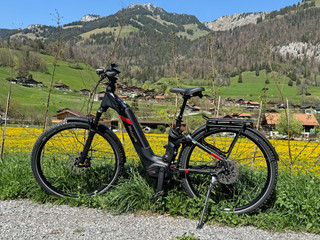 Online reservierbares E-Bike