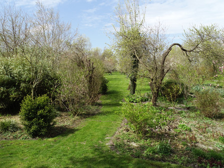 Mori-Garten Odisheim