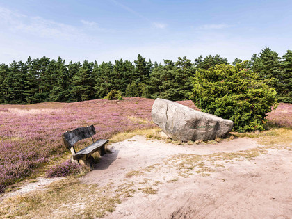 Hermann Löns Gedenkstein in der Klein Bünstorfer Heide