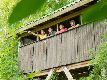 Beobachtungsstand am Vogelschutzgebiet