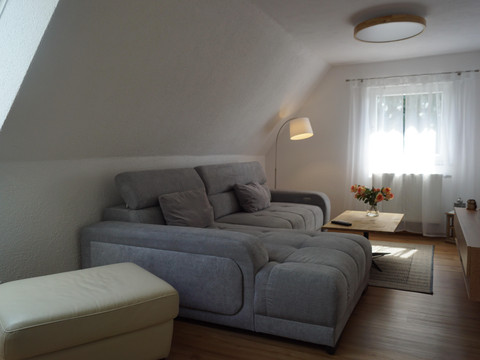 Wohnzimmer Couch