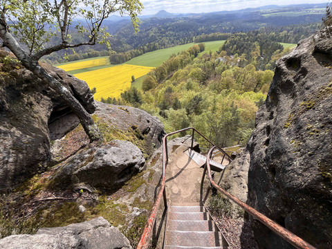 Steintreppe mit rostigem Geländer führt durch felsige Landschaft, umgeben von grünen Bäumen und einem gelben Rapsfeld im Hintergrund.