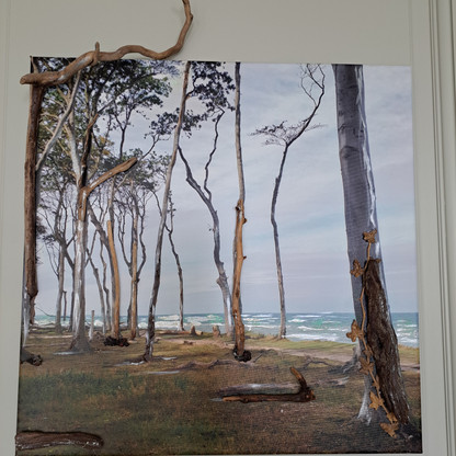 Diana Reimannsteiner.jpg