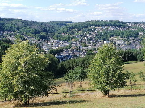Overather Panoramaweg Landschaftsansicht auf ein Dorf in einem grünen Tal, umgeben von bewaldeten Hügeln unter blauem Himmel.