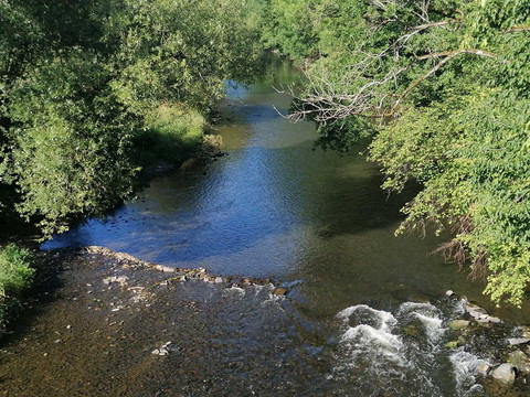 Overather Panoramaweg Klarer Fluss fließt durch grüne, bewaldete Landschaft; ruhiges Wasser und felsige Ufer erkennbar.
