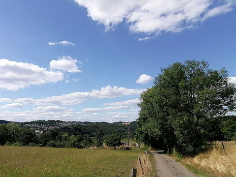 Overather Panoramaweg Landschaftsblick mit Feldweg, grünen Wiesen, Bäumen und bewölktem, blauem Himmel unter der Sonne.