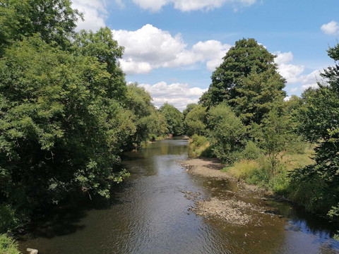 Overather Panoramaweg Flusslauf inmitten üppiger, grüner Vegetation unter blauem Himmel mit weißen Wolken.