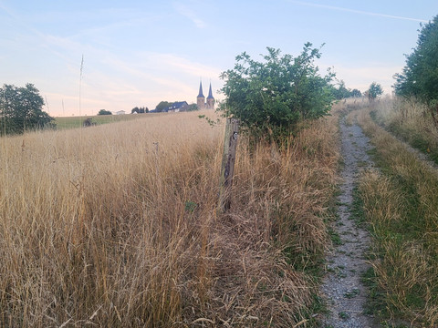 Overather Panoramaweg Ein schmaler Feldweg führt durch ein goldenes Getreidefeld zu einer Kirche mit zwei Türmen am Horizont.