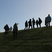 Zugvogelbeobachtung-Fedderwardersiel