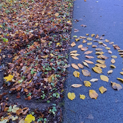 Flyer_Weimar AR 2023.jpg