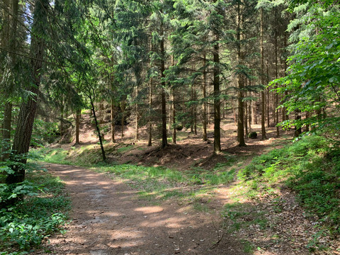 Talringweg Oybin
