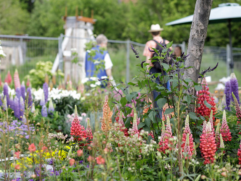 "Jrön un Jedön" Bunte Blumenbeete mit blühenden Lupinen, im Hintergrund Besucherinnen in einem sommerlichen Garten.