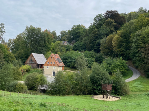 Blockscheune in Waldhusche Ein gelbes Haus mit rotem Dach steht in einer grünen Waldlandschaft, daneben ein Holzschuppen; ein schmaler Weg führt durch die Bäume.