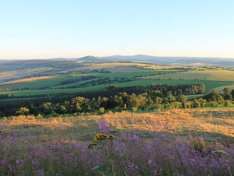 Aussicht Pöhlbergalm mit Wander- und Radwegen
