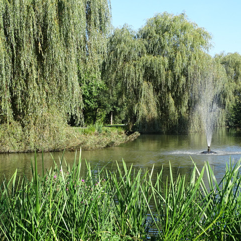 Bürgerpark Oldenbrok