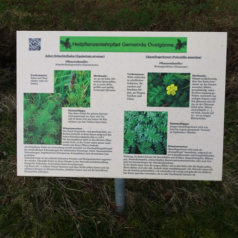 Heilpflanzenlehrpfad Informationstafel