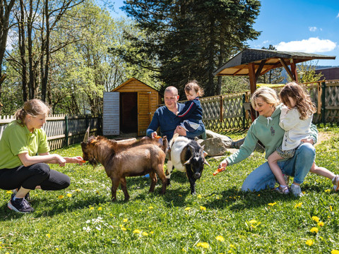 saisonales Streichelgehege