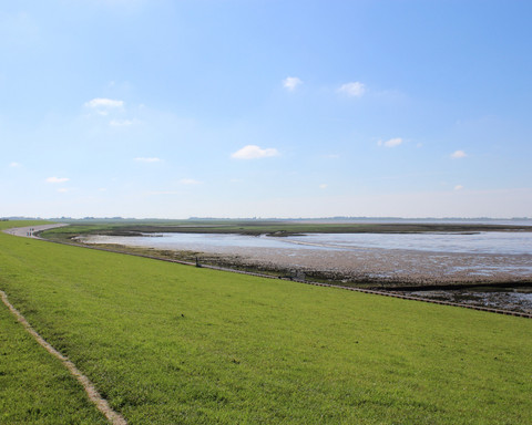 Land & Leute Deich+ Wattenmeer_ IMG_2247.JPG