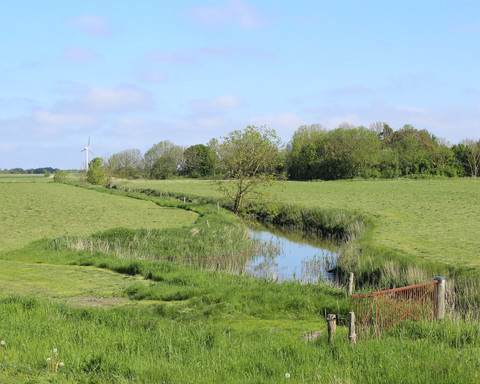 Land & Leute Entwässerung+ Windenergie_ IMG_2245.JPG